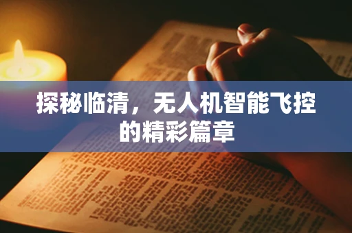 探秘临清，无人机智能飞控的精彩篇章