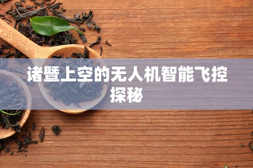 诸暨上空的无人机智能飞控探秘