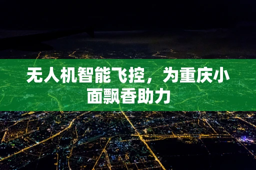 无人机智能飞控，为重庆小面飘香助力