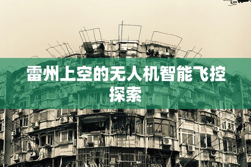 雷州上空的无人机智能飞控探索