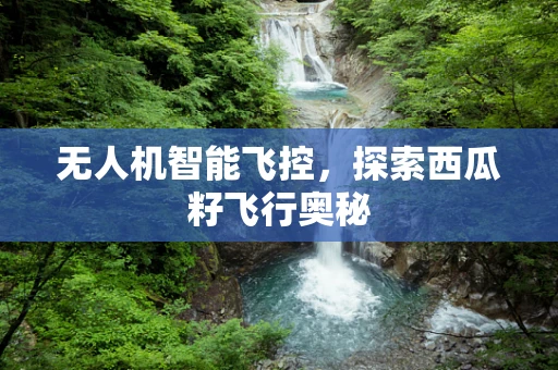 无人机智能飞控，探索西瓜籽飞行奥秘