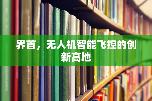 界首，无人机智能飞控的创新高地