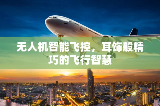 无人机智能飞控，耳饰般精巧的飞行智慧