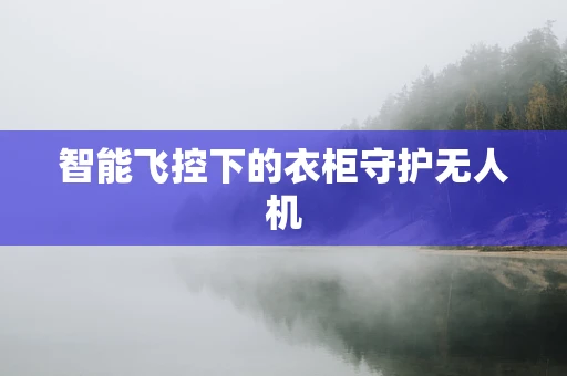 智能飞控下的衣柜守护无人机