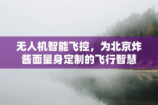 无人机智能飞控，为北京炸酱面量身定制的飞行智慧