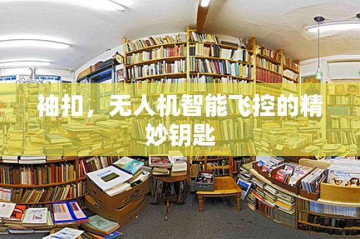 袖扣，无人机智能飞控的精妙钥匙