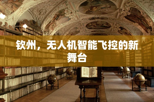 钦州，无人机智能飞控的新舞台
