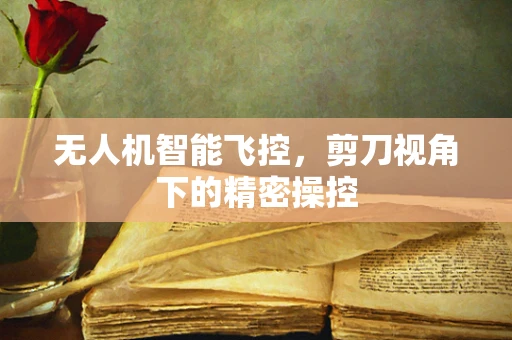无人机智能飞控，剪刀视角下的精密操控