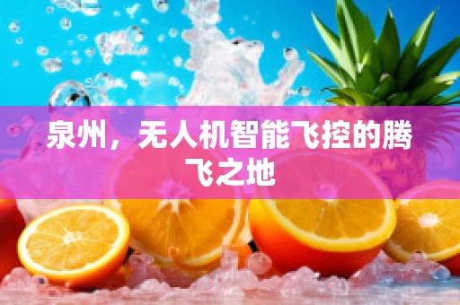 泉州，无人机智能飞控的腾飞之地