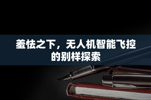 羞怯之下，无人机智能飞控的别样探索