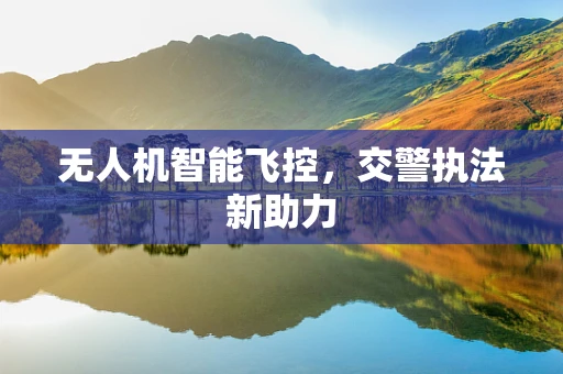 无人机智能飞控，交警执法新助力
