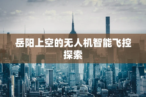 岳阳上空的无人机智能飞控探索