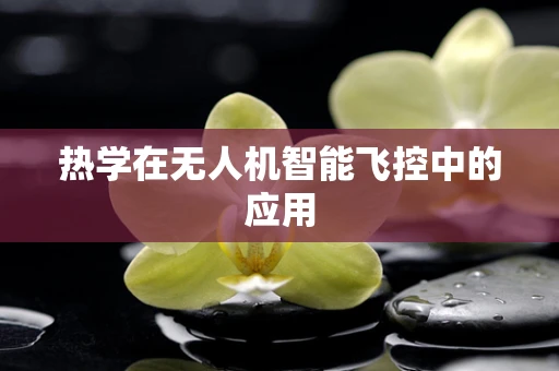 热学在无人机智能飞控中的应用
