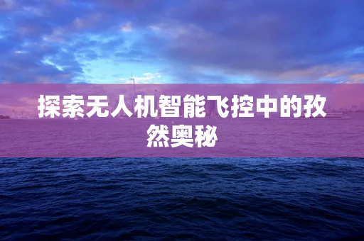 探索无人机智能飞控中的孜然奥秘