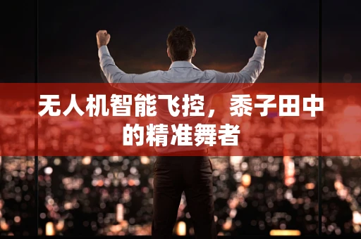 无人机智能飞控，黍子田中的精准舞者