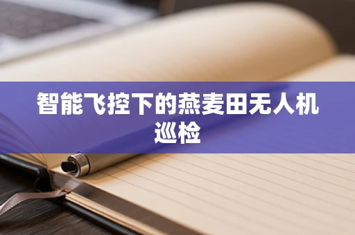 智能飞控下的燕麦田无人机巡检