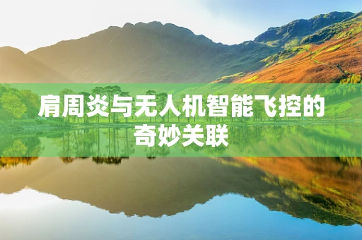 肩周炎与无人机智能飞控的奇妙关联