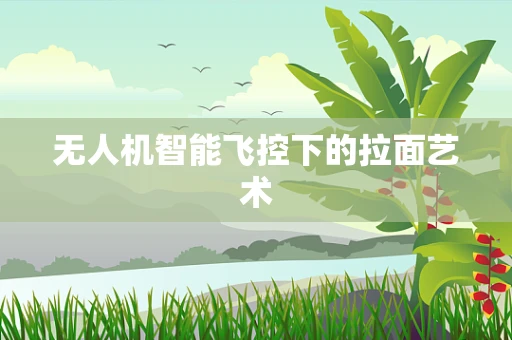 无人机智能飞控下的拉面艺术