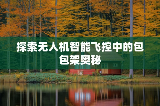 探索无人机智能飞控中的包包架奥秘