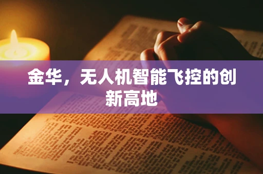 金华，无人机智能飞控的创新高地