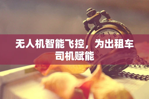 无人机智能飞控，为出租车司机赋能