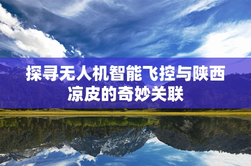 探寻无人机智能飞控与陕西凉皮的奇妙关联