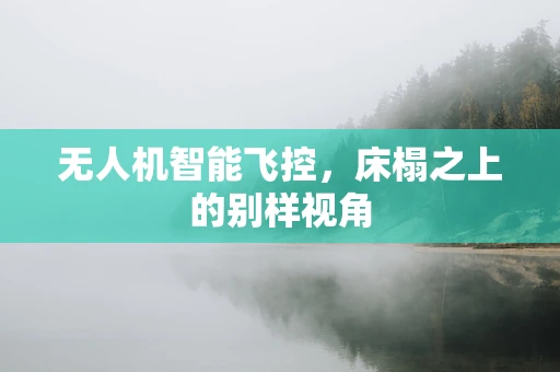 无人机智能飞控，床榻之上的别样视角
