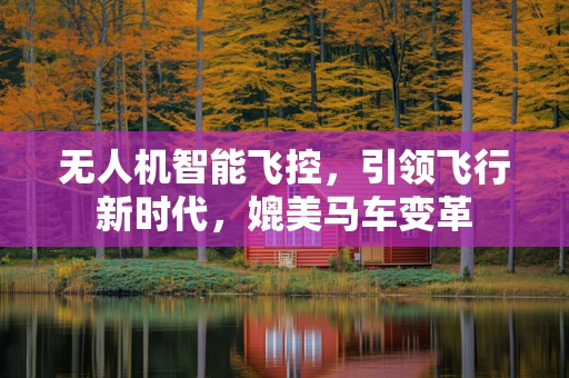 无人机智能飞控，引领飞行新时代，媲美马车变革