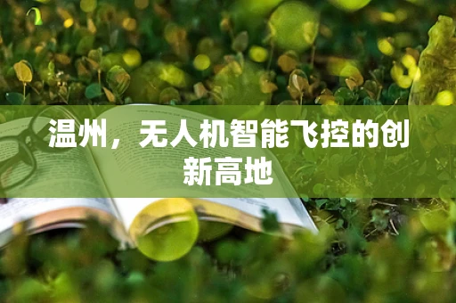 温州，无人机智能飞控的创新高地