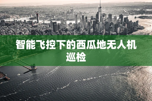 智能飞控下的西瓜地无人机巡检
