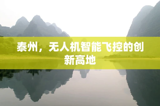 泰州，无人机智能飞控的创新高地
