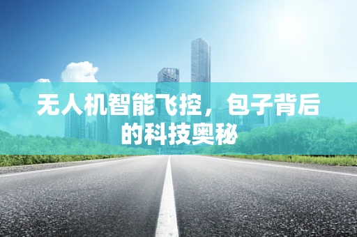 无人机智能飞控，包子背后的科技奥秘