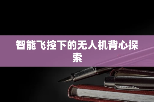 智能飞控下的无人机背心探索
