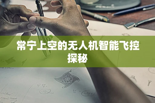 常宁上空的无人机智能飞控探秘