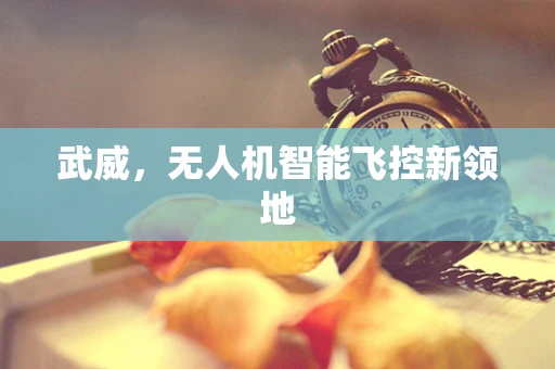 武威，无人机智能飞控新领地