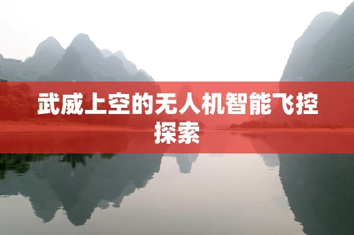 武威上空的无人机智能飞控探索