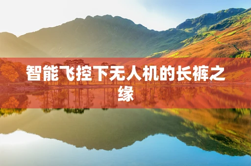 智能飞控下无人机的长裤之缘