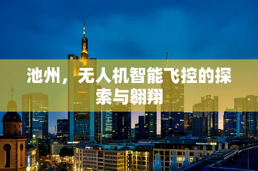 池州，无人机智能飞控的探索与翱翔