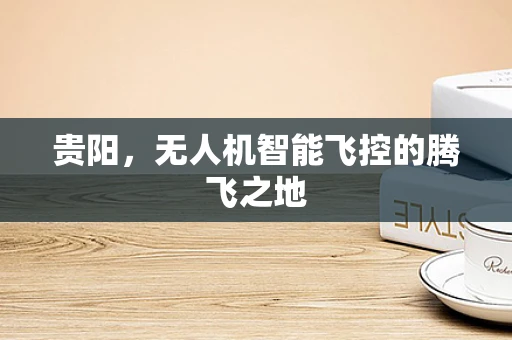 贵阳，无人机智能飞控的腾飞之地