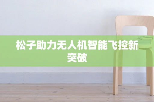松子助力无人机智能飞控新突破