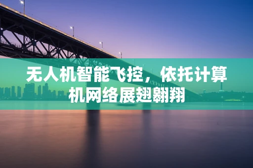 无人机智能飞控，依托计算机网络展翅翱翔
