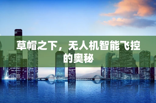 草帽之下，无人机智能飞控的奥秘
