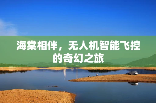 海棠相伴，无人机智能飞控的奇幻之旅