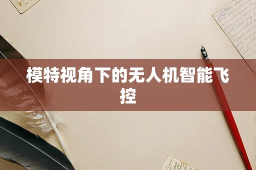 模特视角下的无人机智能飞控