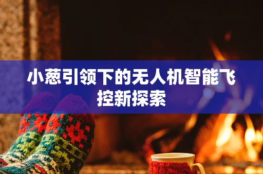 小葱引领下的无人机智能飞控新探索