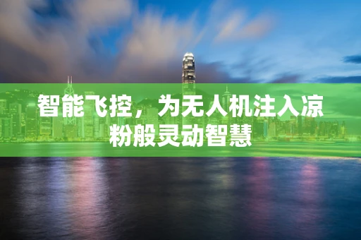 智能飞控，为无人机注入凉粉般灵动智慧