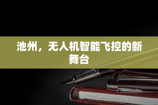 池州，无人机智能飞控的新舞台