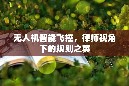 无人机智能飞控，律师视角下的规则之翼