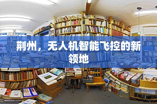 荆州，无人机智能飞控的新领地