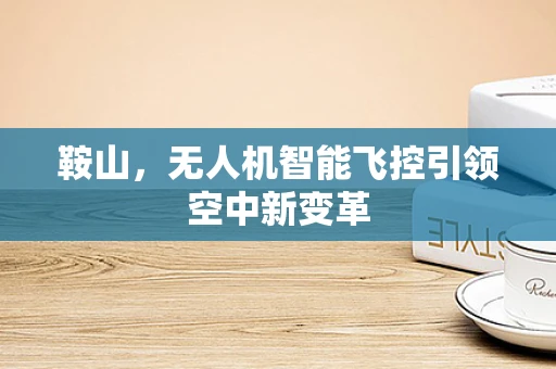 鞍山，无人机智能飞控引领空中新变革